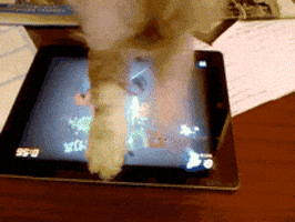 200.gif