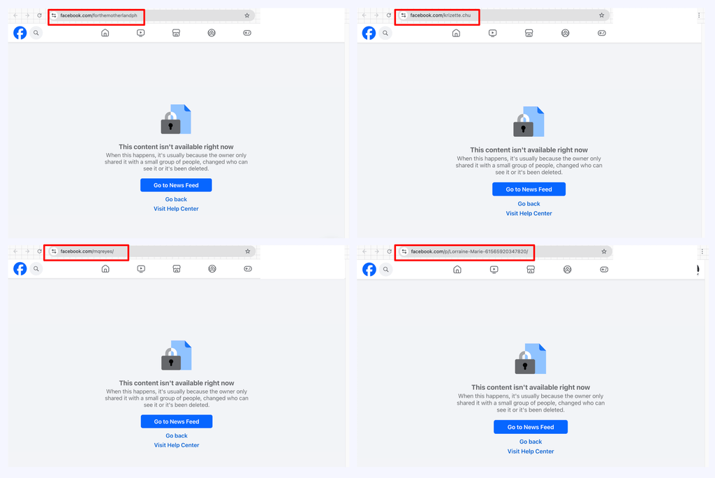 facebook-pages-pro-duterte-figures-inaccessible-february-2025-02.png