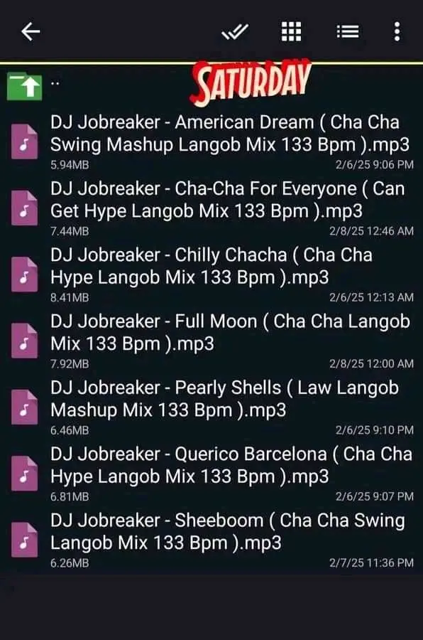 DJ JOBREAKER CHACHA HITS 2025