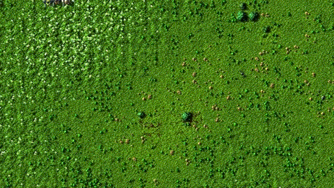clash.gif