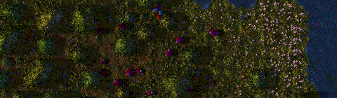 Birds.gif