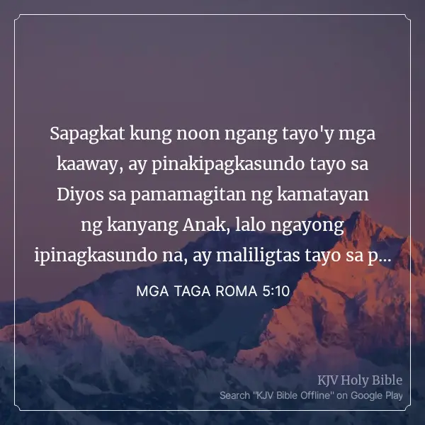1739275310888.webp