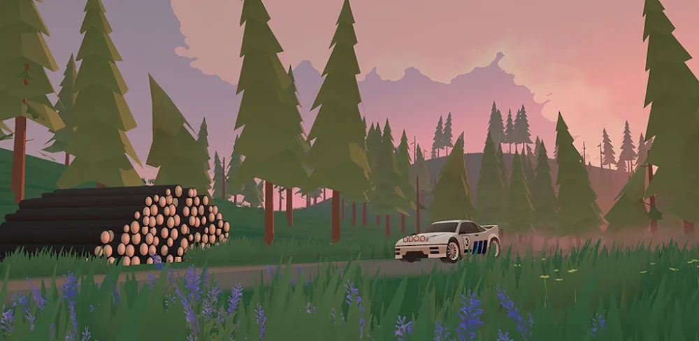 n3rally-1.webp