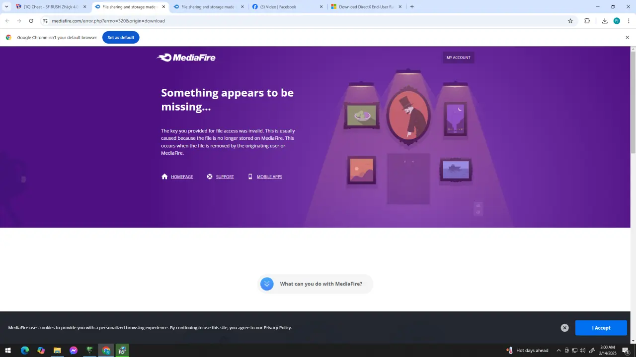 1739473249795.webp