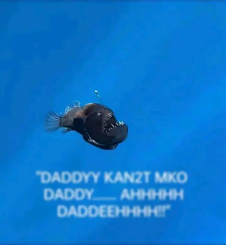 1739778842388.webp