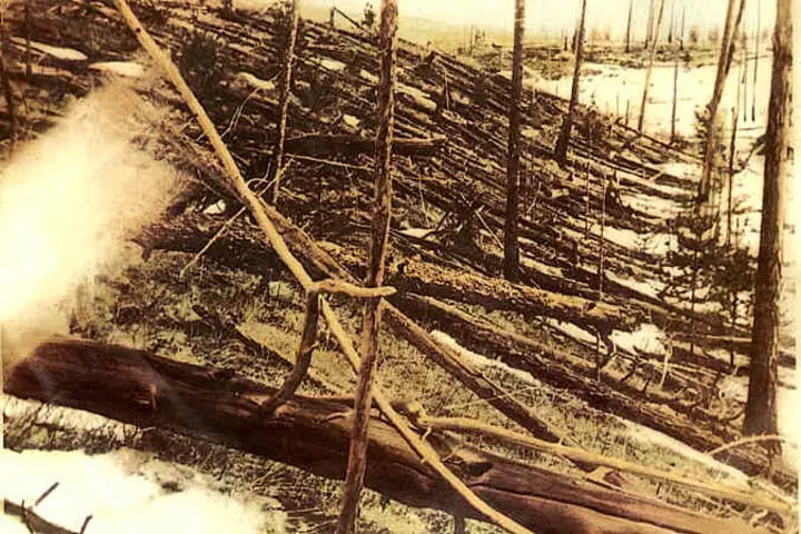 Tunguska Event downed tree.webp