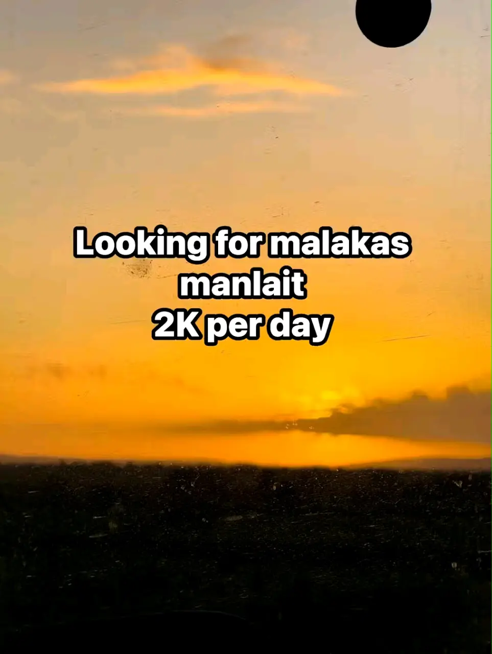 1740145838798.webp