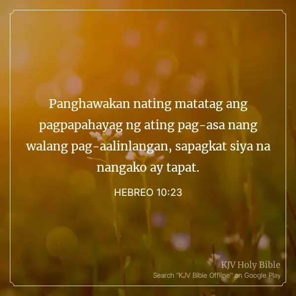 1740268866225.webp