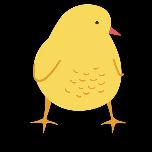 1740388824474.webp