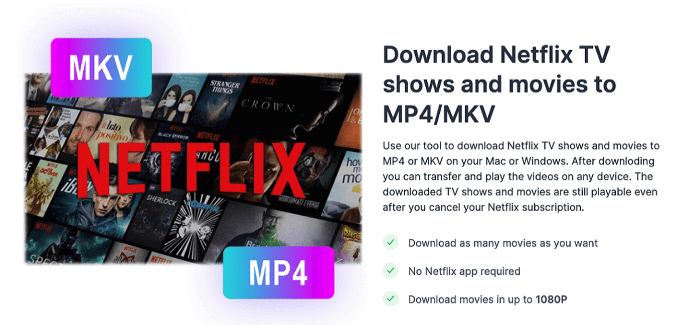 Netflix-Downloader.png