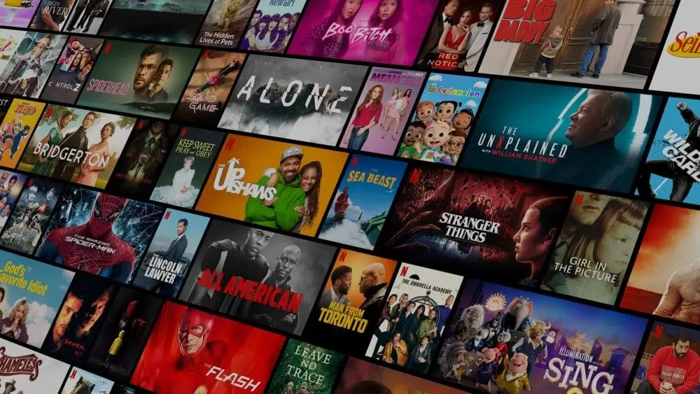 netflix-cover-e1673026955778.webp