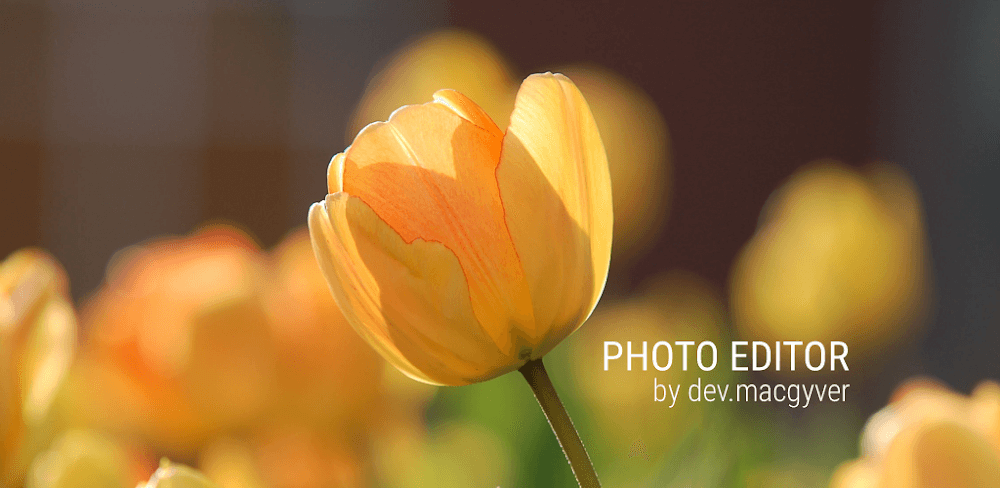 photo-editor-1.webp
