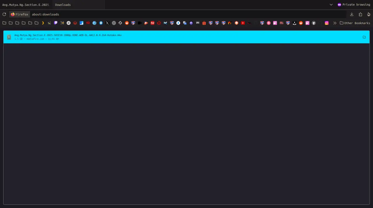 1741405415231.webp