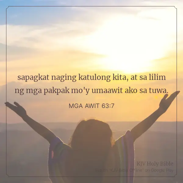 1741408512246.webp