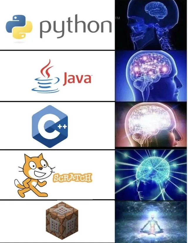 Coding Hierarchy.webp