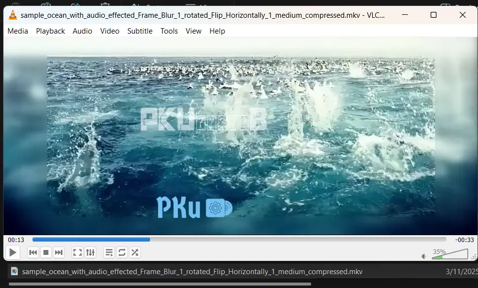 1741663152327.webp