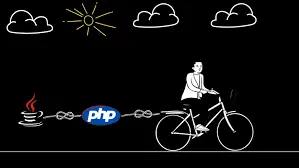 images.webp
