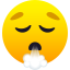 1f62e-1f4a8.png
