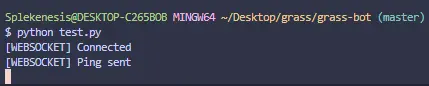 1742032629404.webp