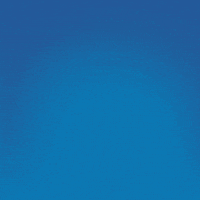 200.gif