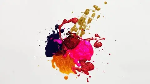 1000002569.webp
