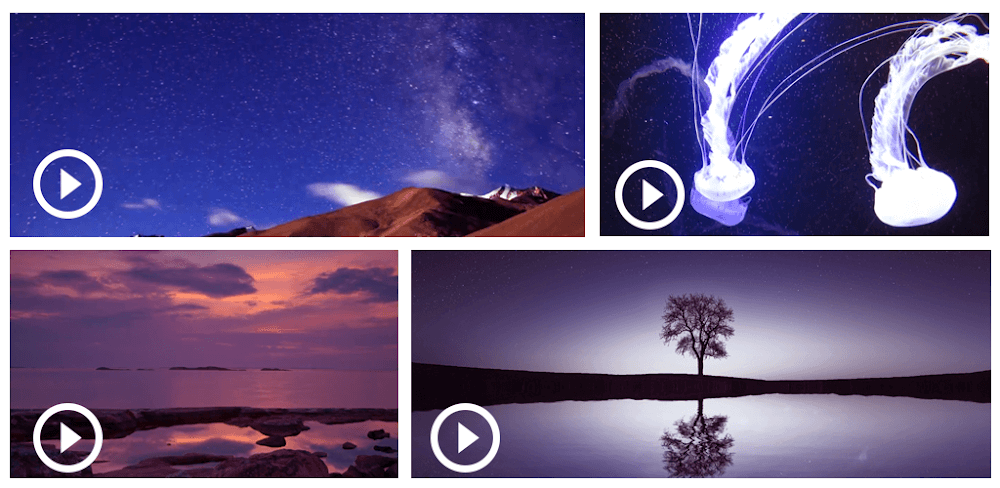 video-collage-makermix-videos-1.webp