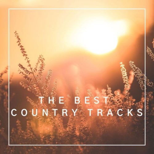 Various Artists - The Best Country Tracks (2025)
