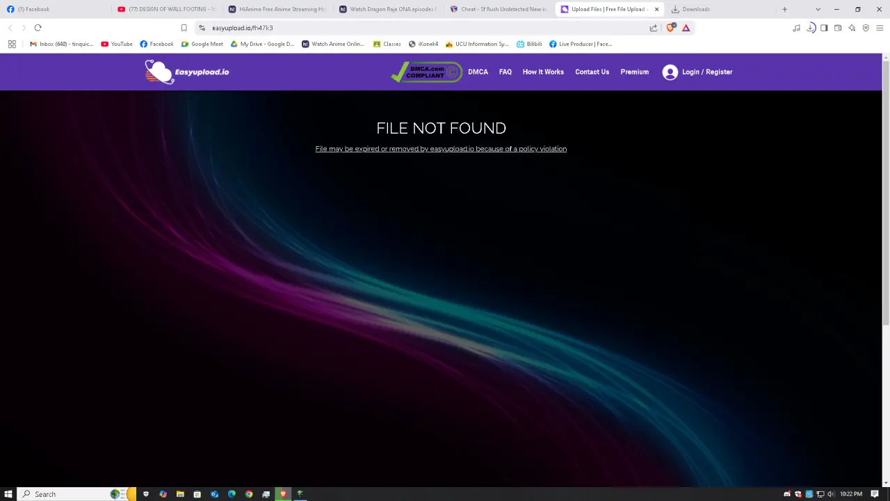 1742480573934.webp