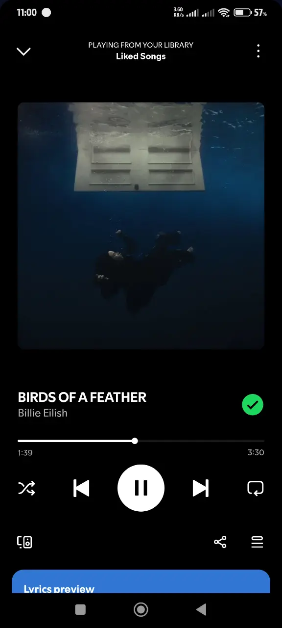 Screenshot_2025-03-21-11-00-36-534_com.spotify.music.webp