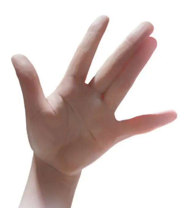 d231bb6e6c806ee51f1cbba2ff715fe0.webp