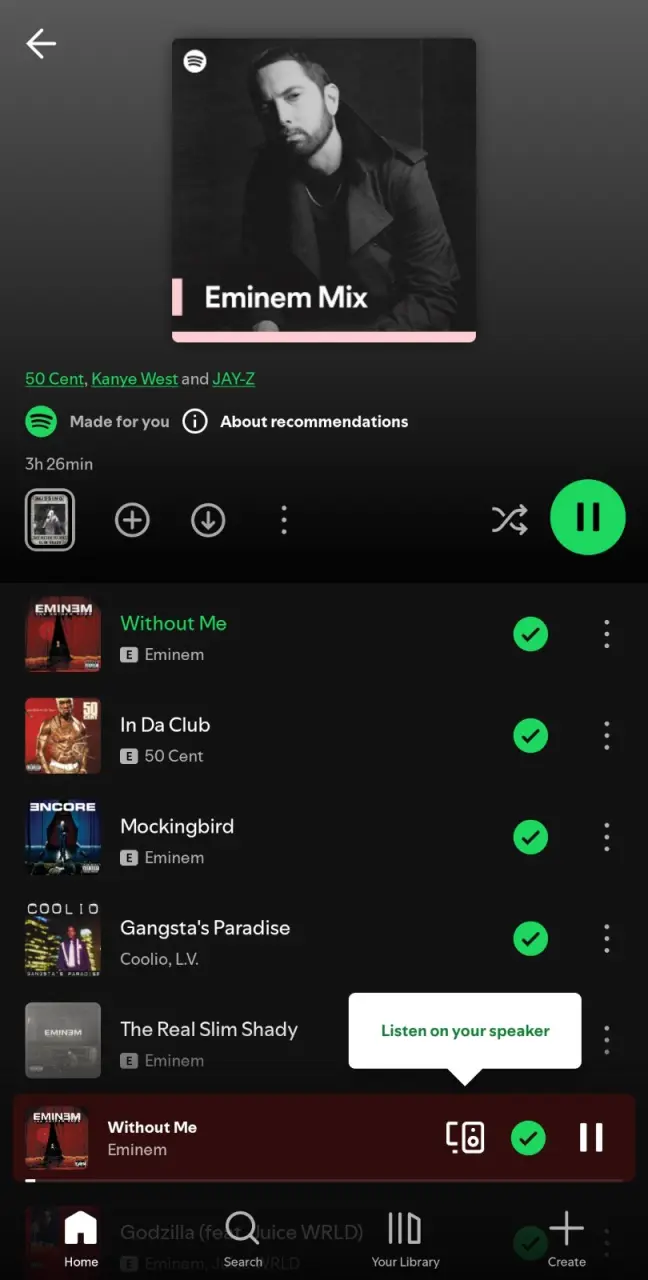 Screenshot_20250323-222442_Spotify.webp