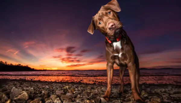 cc3488b7ccb08afbfbc2f903f4e6995c.webp