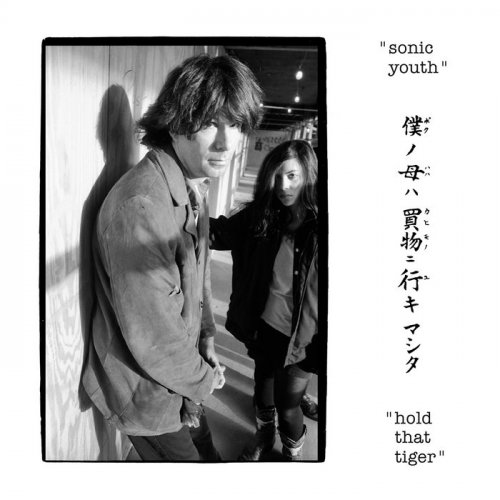 Sonic Youth  Hold That Tiger (2025)