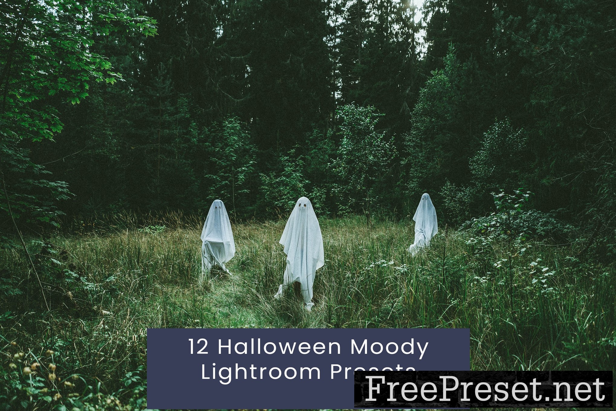 12-Halloween-Moody-Lightroom-Presets-3LBDWCT-1.jpg