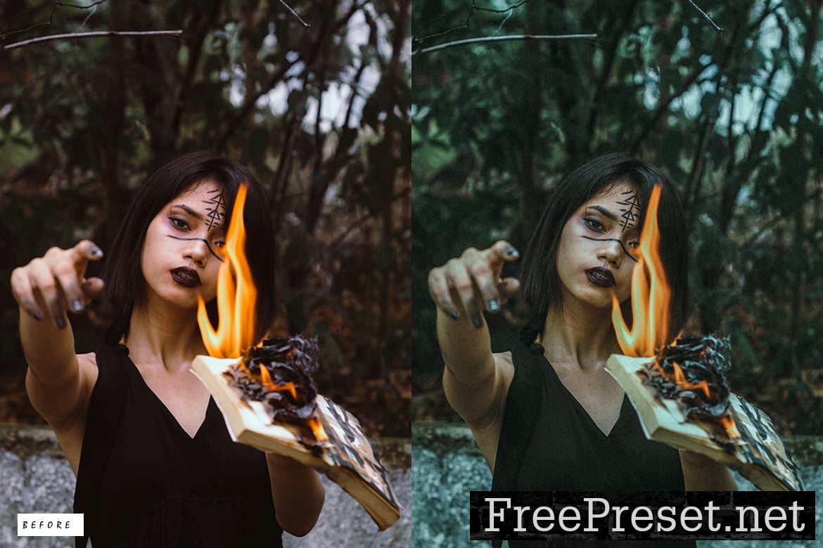 12-Halloween-Moody-Lightroom-Presets-3LBDWCT-2.jpg