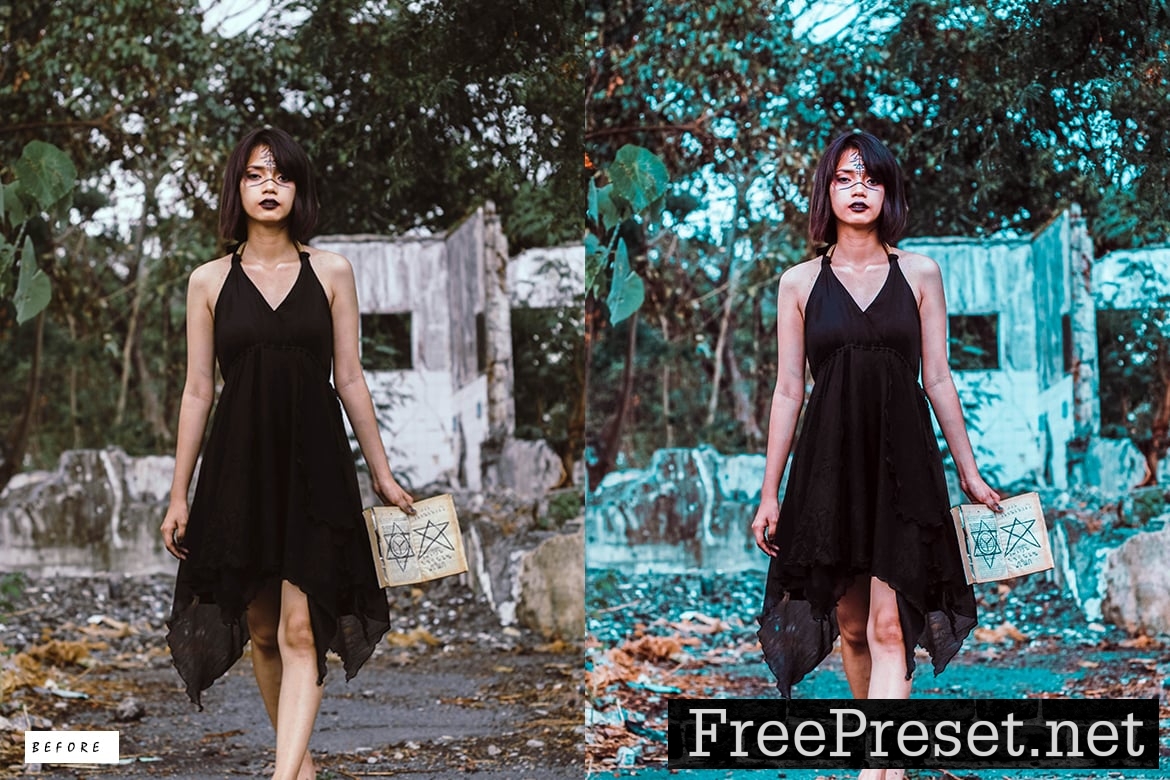 12-Halloween-Moody-Lightroom-Presets-3LBDWCT-4.jpg