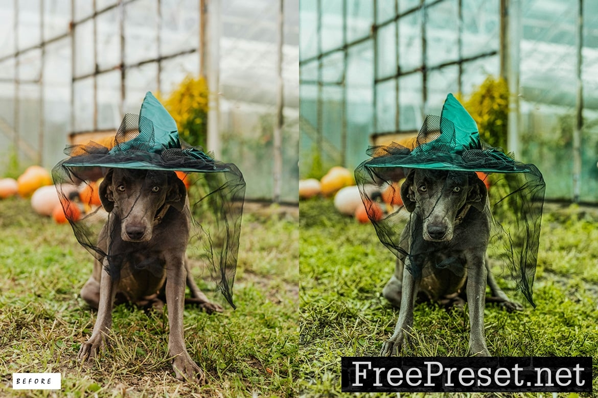 12-Halloween-Moody-Lightroom-Presets-3LBDWCT-8.jpg