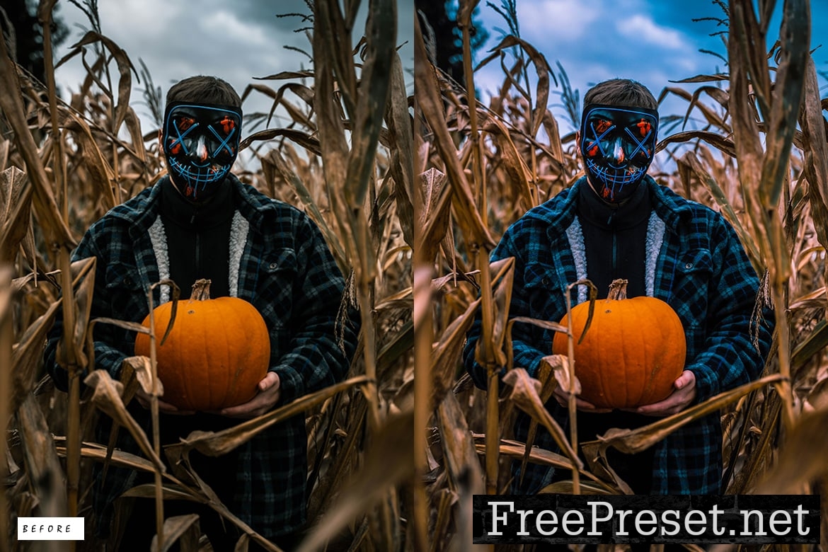 12-Halloween-Moody-Lightroom-Presets-3LBDWCT-9.jpg
