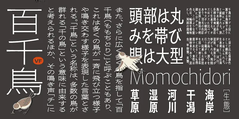 1743153004590.webp