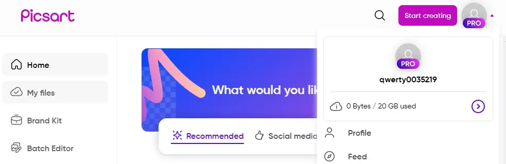 Pɪᴄsᴀʀᴛ pro.webp