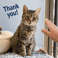 200.gif