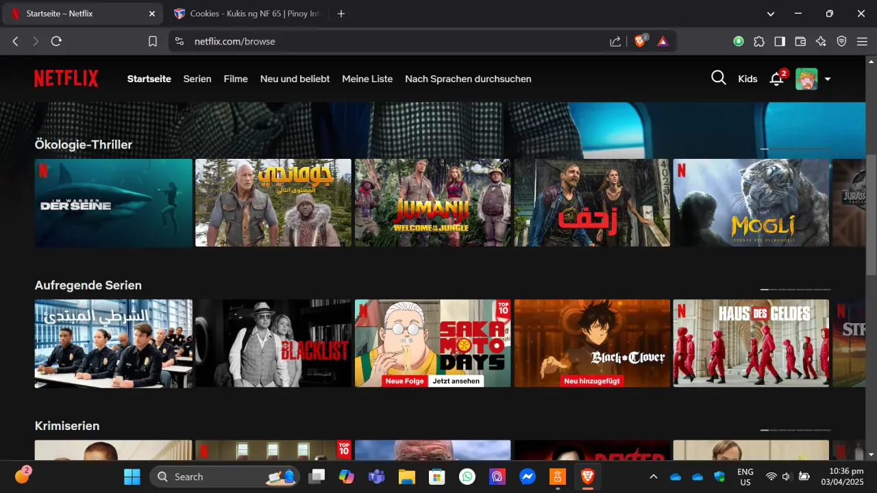Screenshot 2025-04-03 223706.webp
