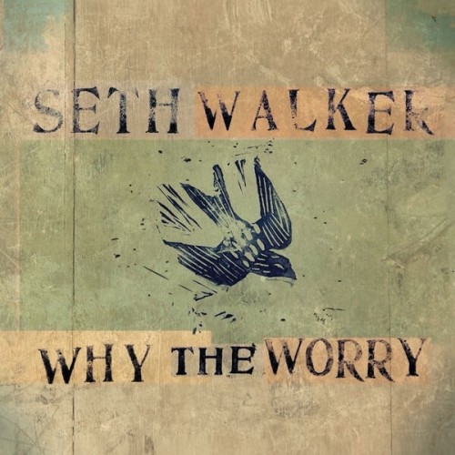 Seth Walker - Why The Worry (2025)