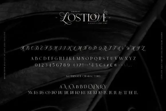 Lost-Love-Fonts-55918449-7-580x387.webp
