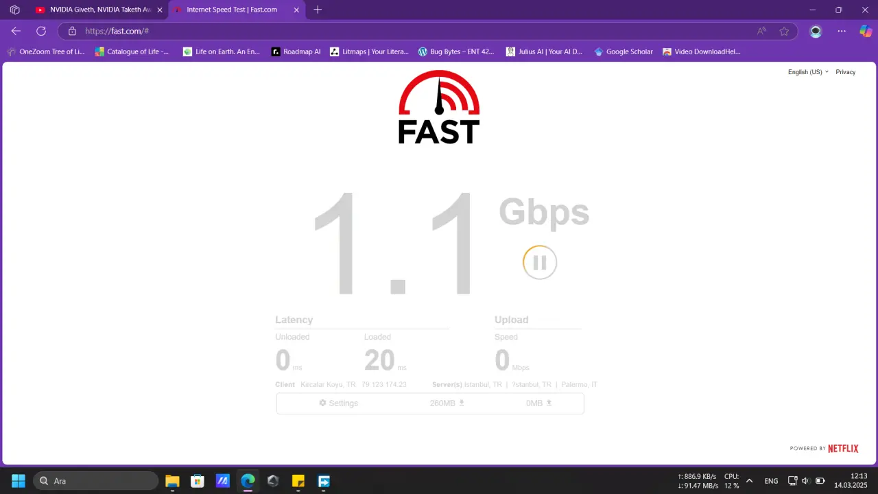 Screenshot 2025-03-14 121316.webp