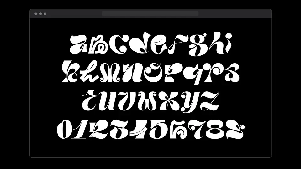 dt_random_display-2.webp