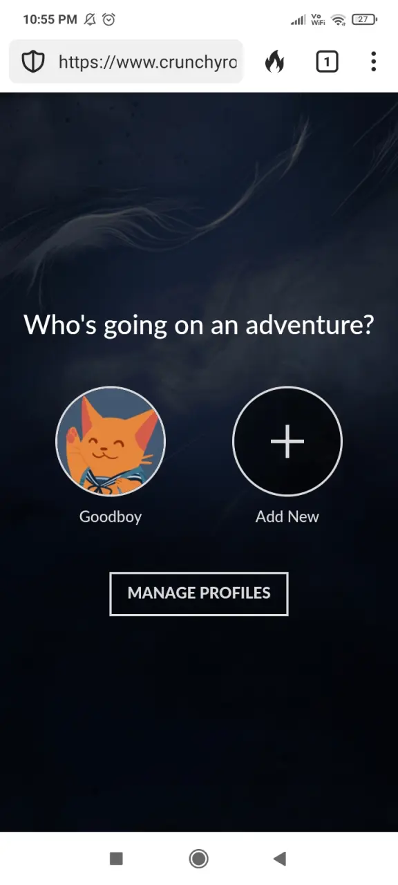 Screenshot_2025-04-10-22-55-23-500_com.duckduckgo.mobile.android.webp