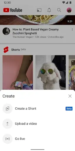 1744361664353.webp