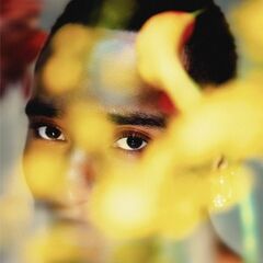 Durand Bernarr  Bloom (2025)
