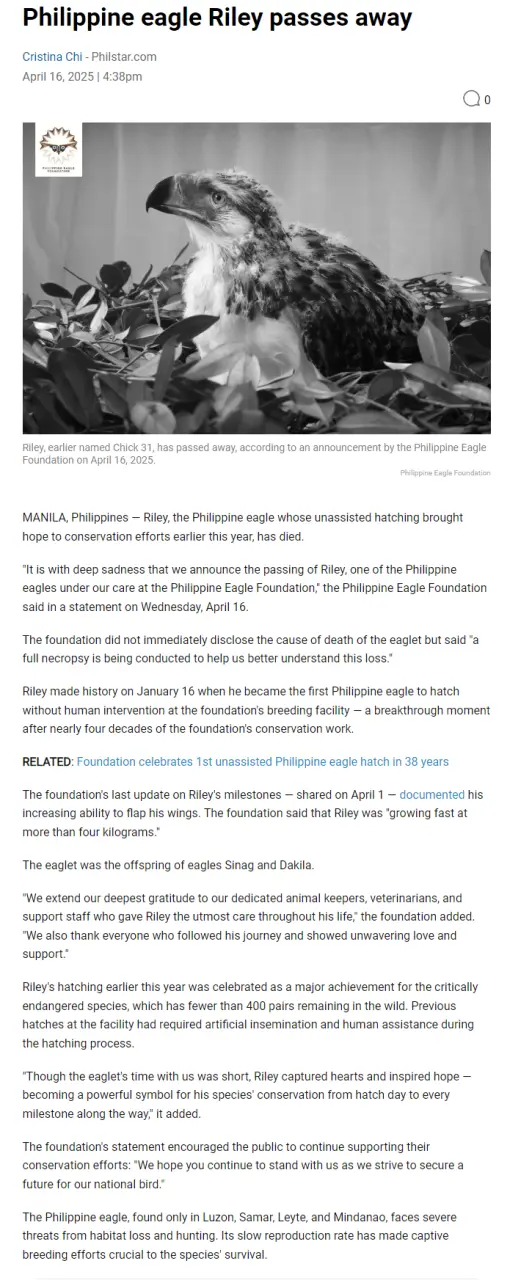Philippine eagle Riley passes away